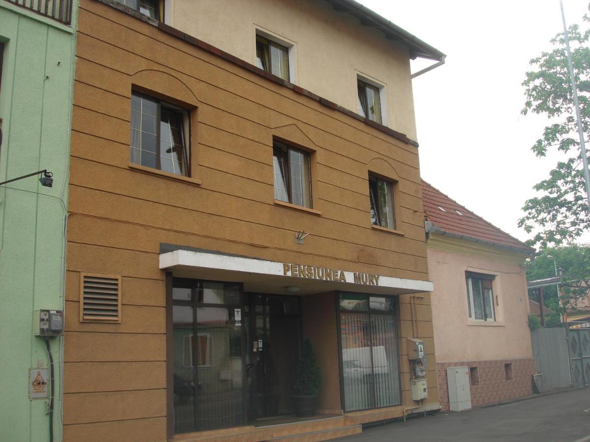 Pensiunea Mury Braşov Exteriör bild
